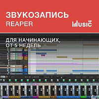 Звукозапись в Reaper