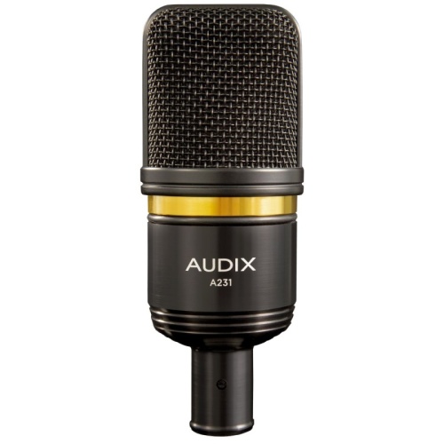 Audix A231