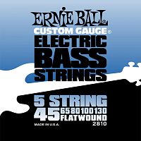 Ernie Ball 2810